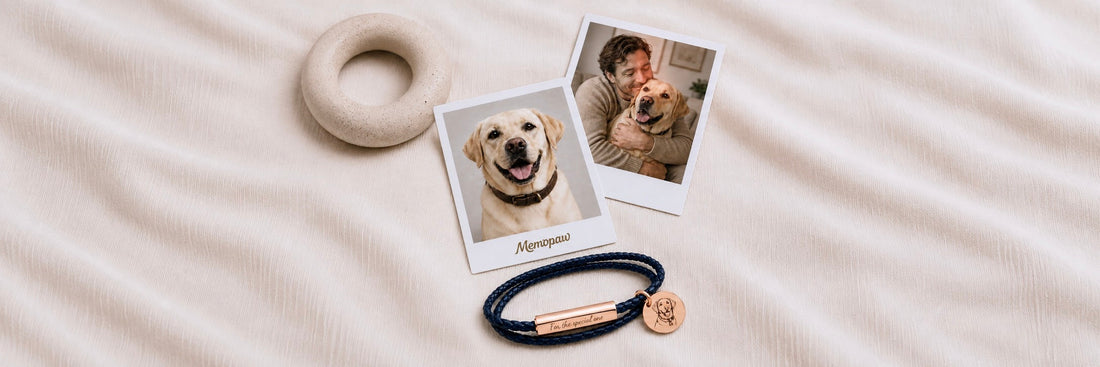 The Complete Guide to Pet Memorial Jewelry: Necklaces, Lockets & Urns