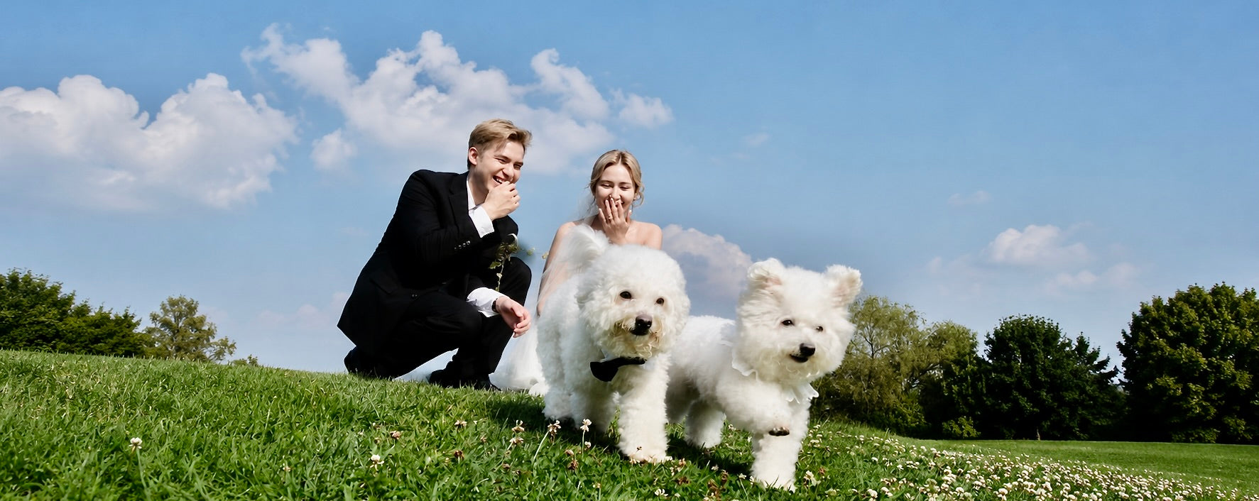 A joyful candid wedding photo capturing a bride and groom laughing in a sunny field, while their two adorable white dogs steal the show by running toward the camera.