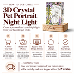 Step-by-step customization guide and shipping timeframe infographic for custom 3D crystal pet portrait night lights.