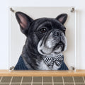 Custom 5-layer 3D pet acrylic desk display featuring a French bulldog in a black suit and striped bow tie, framed in clear acrylic.