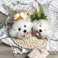 Two fluffy white dogs in a woven basket with flowers and a gift on a textured blanket.