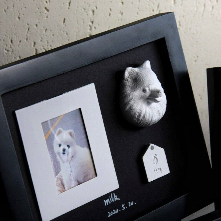 Black framed shadow box with a photo of a dog and decorative item on a textured wall.