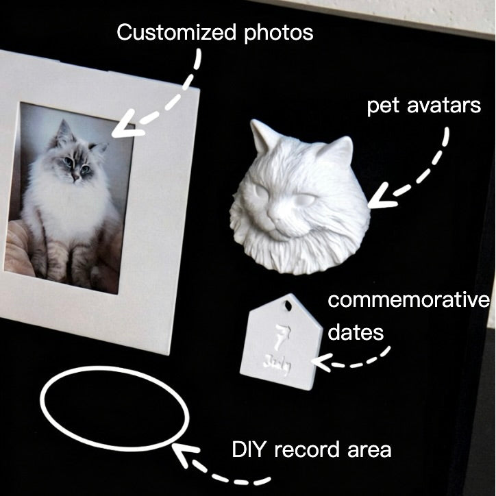 Diagram showing a cat's photo, pet avatar, commemorative date tag, and DIY record area on a black background.