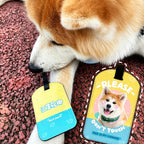 Dog lying on a textured surface with two luggage tags featuring a dog illustration.