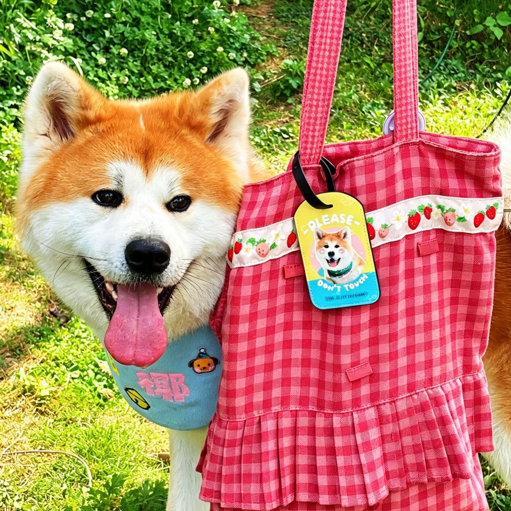 Dog with a pink checkered bag and tag in a natural setting
