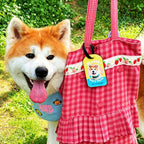 Dog with a pink checkered bag and tag in a natural setting