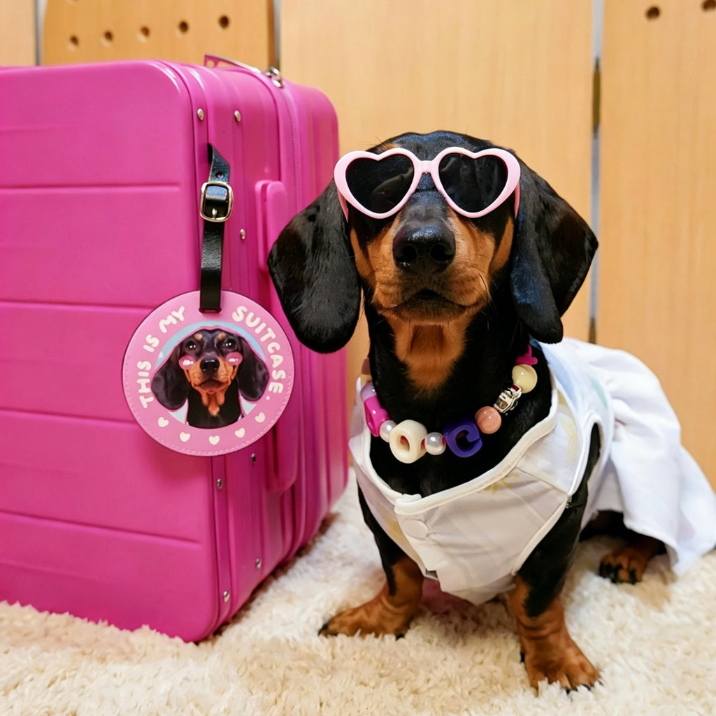 Dog wearing sunglasses and a white outfit next to a pink suitcase with a 'This is my suitcase' sticker.