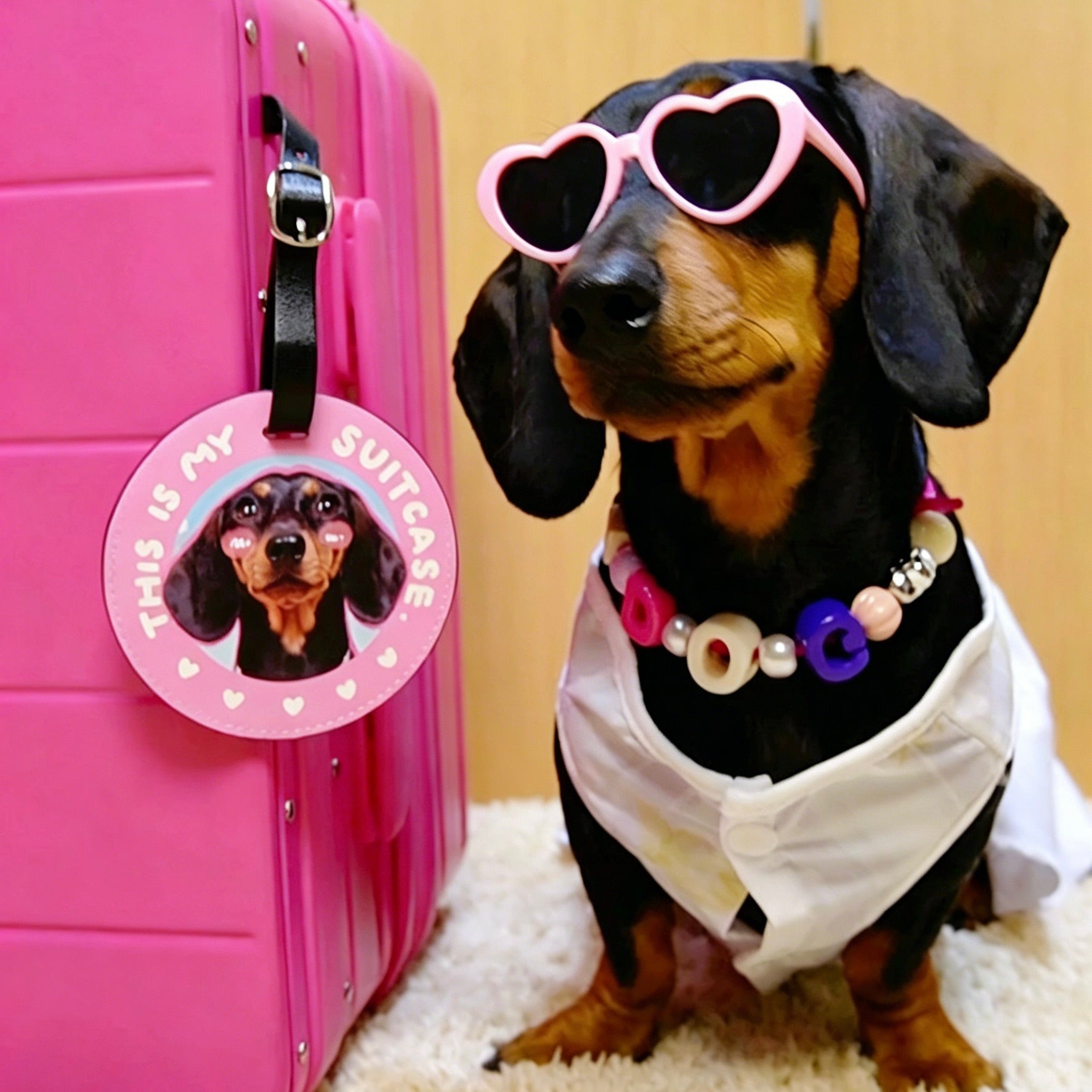 Dog wearing heart-shaped sunglasses with a pink suitcase and matching tag.