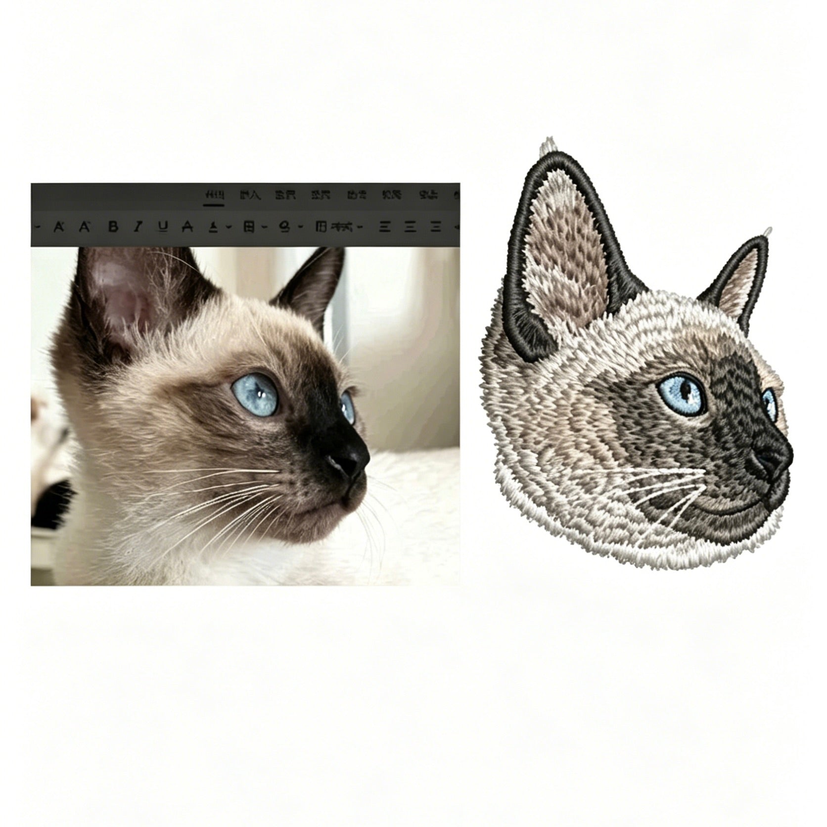 Real cat with a close-up of its face next to an embroidered patch of the same cat.