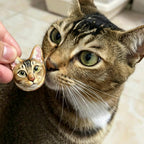 Cat looking at a small round mirror held by a hand