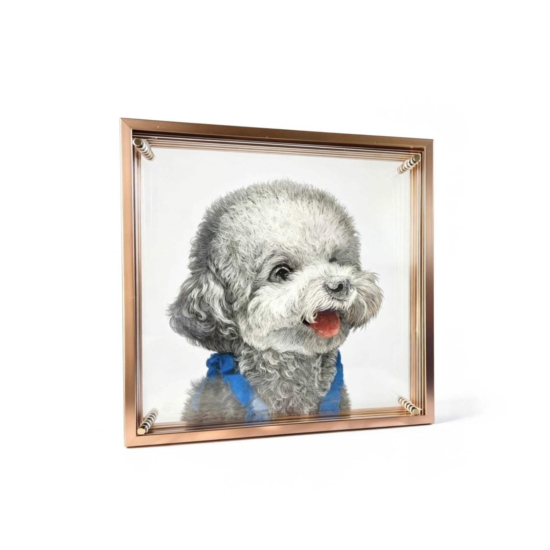 Framed artwork of a dog with a blue bow tie on a white background