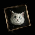 Framed artwork of a cat's face on a black background