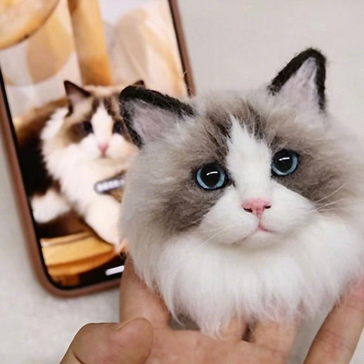 Person holding a Ragdoll cat with a phone showing a reflection of the cat.