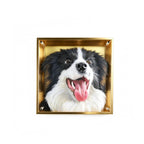 Dog portrait in a gold frame on a white background