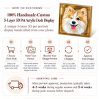 Custom 5-layer 3D pet acrylic desk display with five-step customization guide