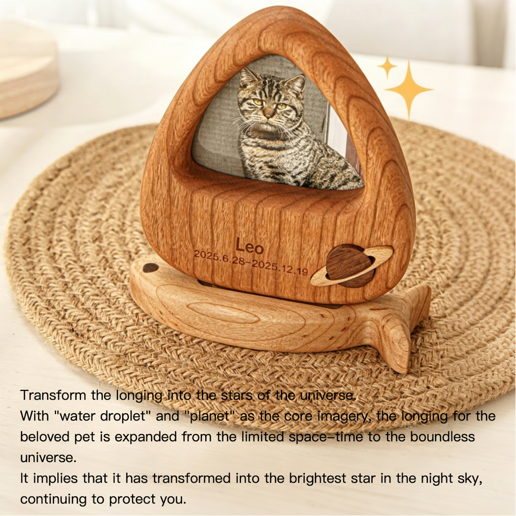 Wooden pet memorial with a cat's photo inside, placed on a textured surface.