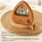 Wooden pet memorial with a cat's photo inside, placed on a textured surface.