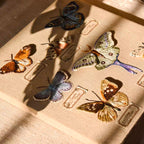 A collection of luxury custom hand-embroidered butterfly brooch pins, elegantly displayed inside a wooden embroidery hoop with a vintage specimen label to showcase realistic textile art and lifelike craftsmanship.
