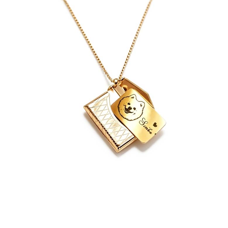Gold necklace with two pendants on a white background