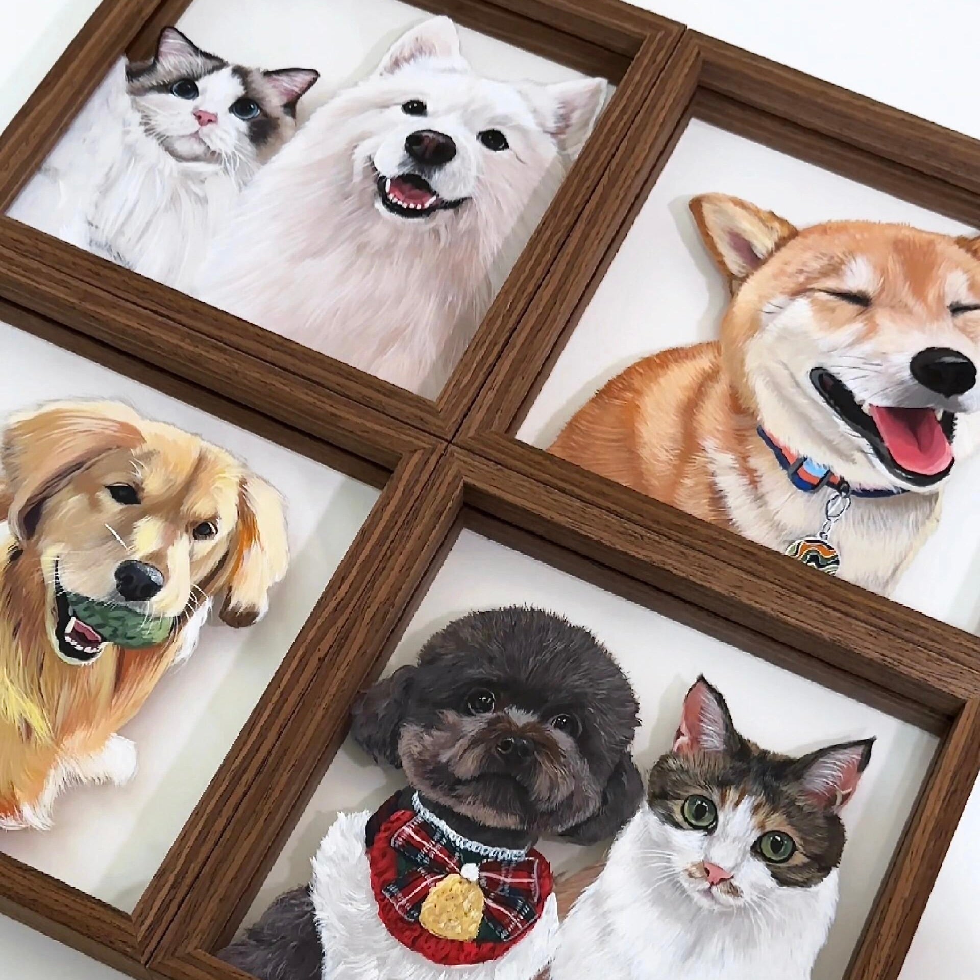 Set of framed pet portraits featuring dogs and cats.