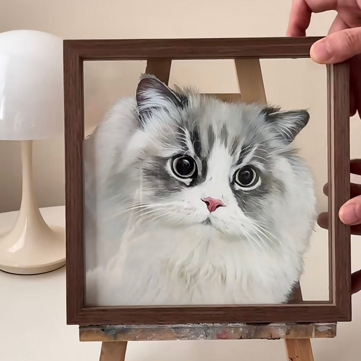 Framed picture of a fluffy cat held by a hand on a light background