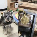 Dog next to a gold dog tag with a wolf design on a wooden surface.