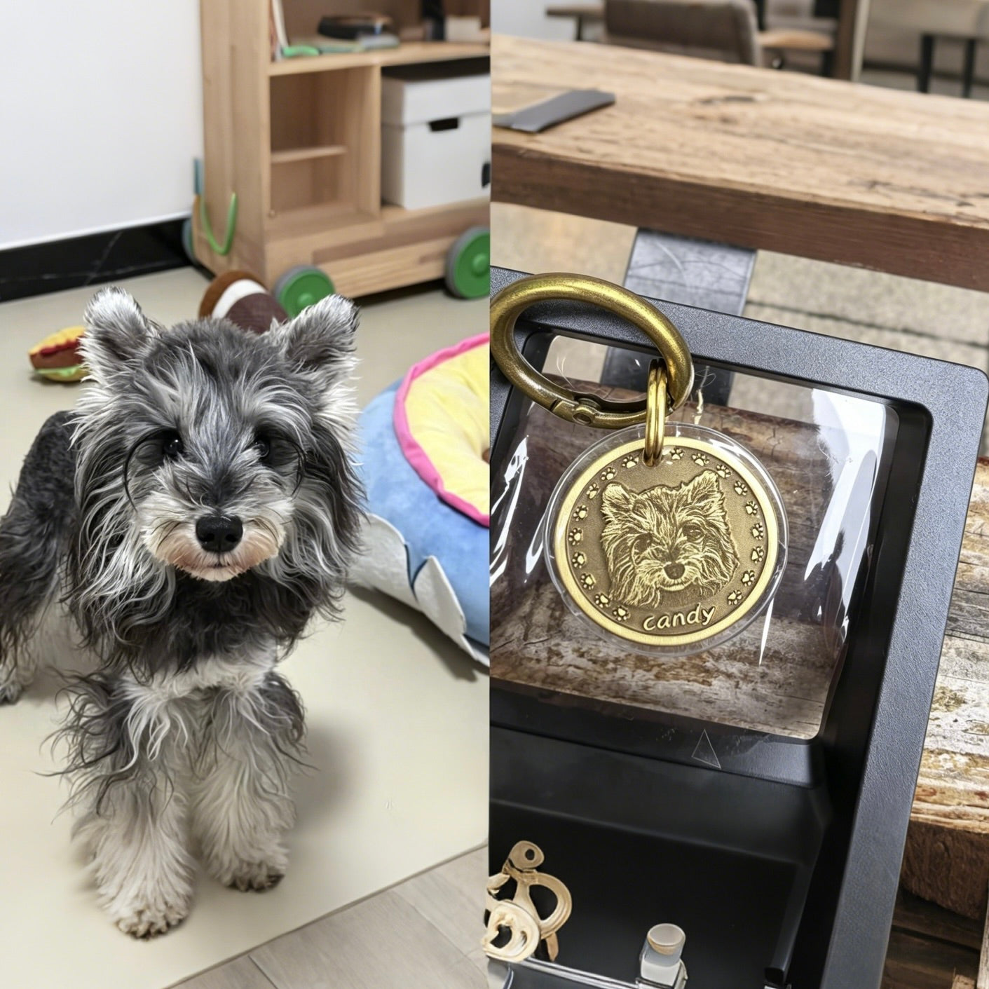 Dog next to a gold dog tag with a wolf design on a wooden surface.