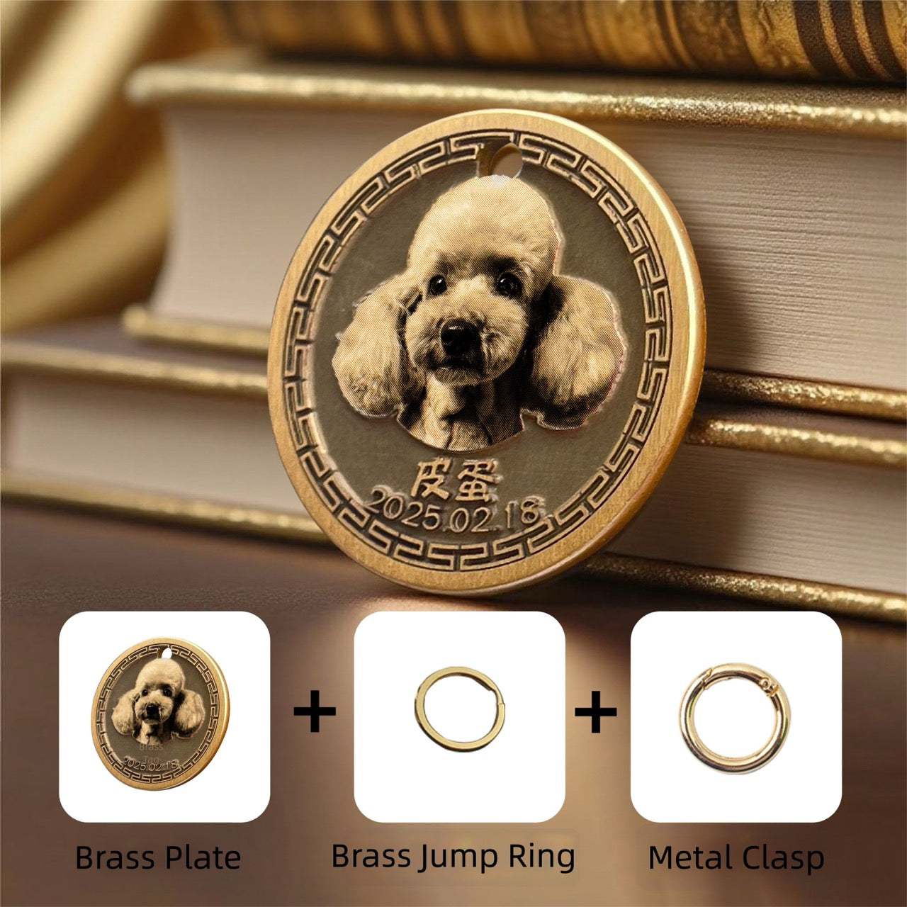 Bronze coin with a dog design on a stack of books, showing brass components below.