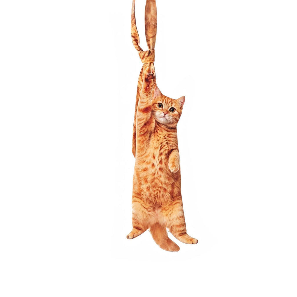 Cat hanging from a wooden toy on a white background