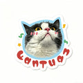 Sticker with a cat's face and the word 'Cantua' on a white background