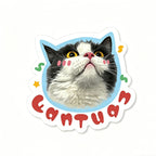 Sticker with a cat's face and the word 'Cantua' on a white background