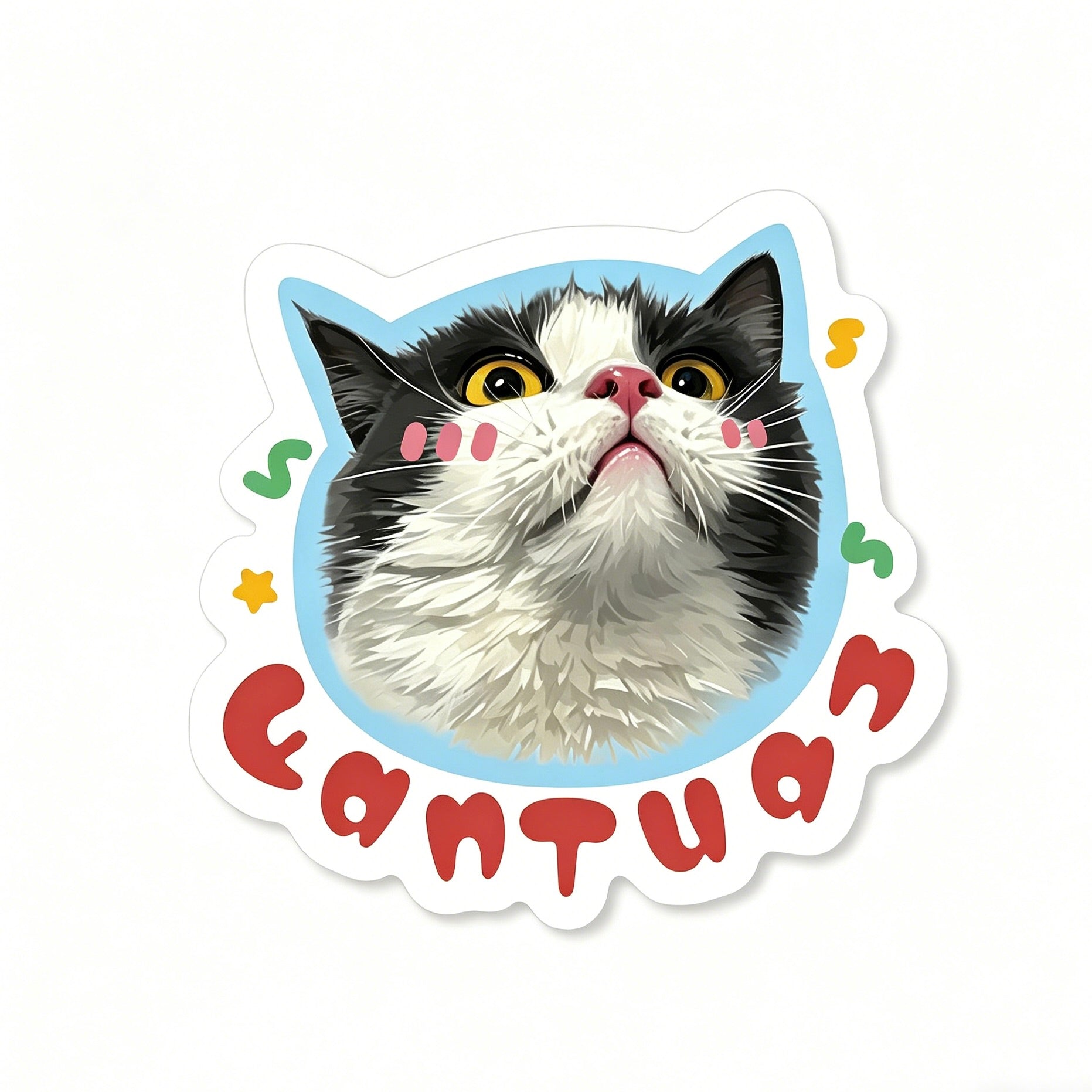 Sticker with a cat's face and the word 'Cantua' on a white background