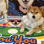 Dog wearing a white dress sitting on a colorful floor with a cartoon character in the background.
