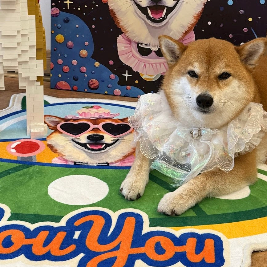 Dog wearing a white dress sitting on a colorful floor with a cartoon character in the background.
