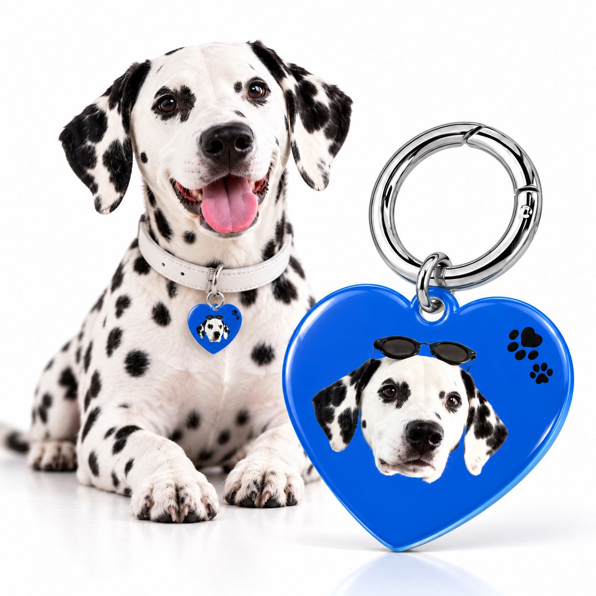 A smiling dalmatian dog wearing a collar with a glossy blue heart-shaped ID tag featuring its portrait