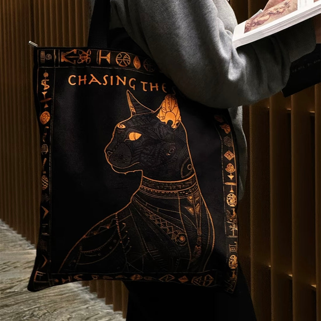 Decorative pillow with Egyptian-style cat design and text 'Chasing the' on a wooden floor.