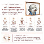100% handmade custom 3D hand-engraved pet acrylic portrait customization process