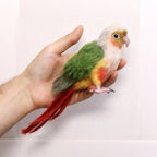 Life-size handcrafted wool sculpture of a Green-cheeked Conure with realistic green wings, white neck, and long red tail feathers, held in a hand to show scale.