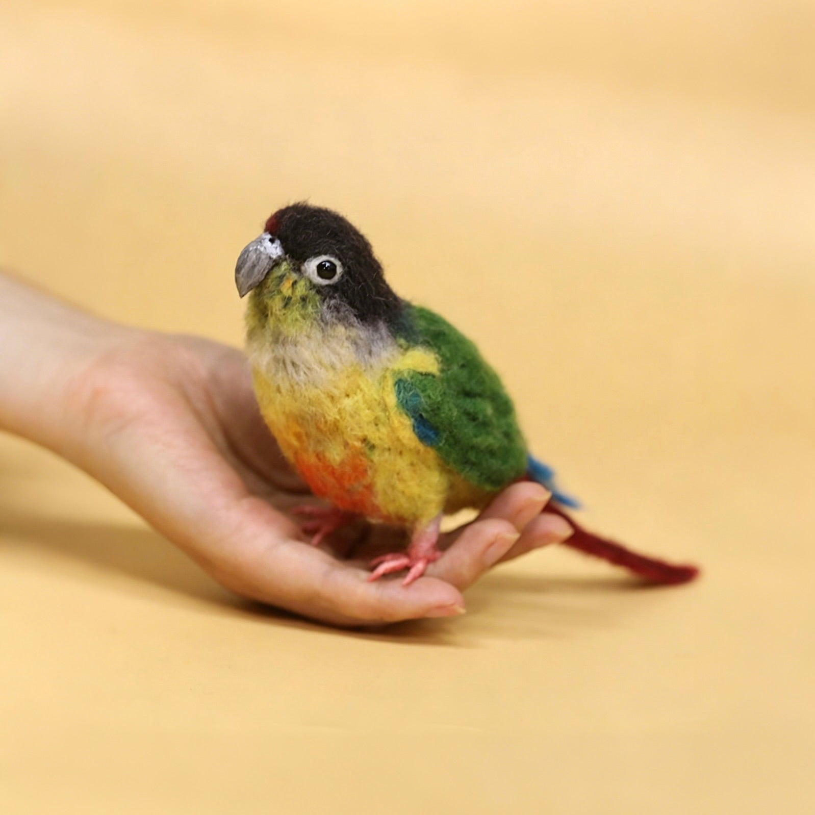 Colorful parrot perched on a person's hand with a plain background