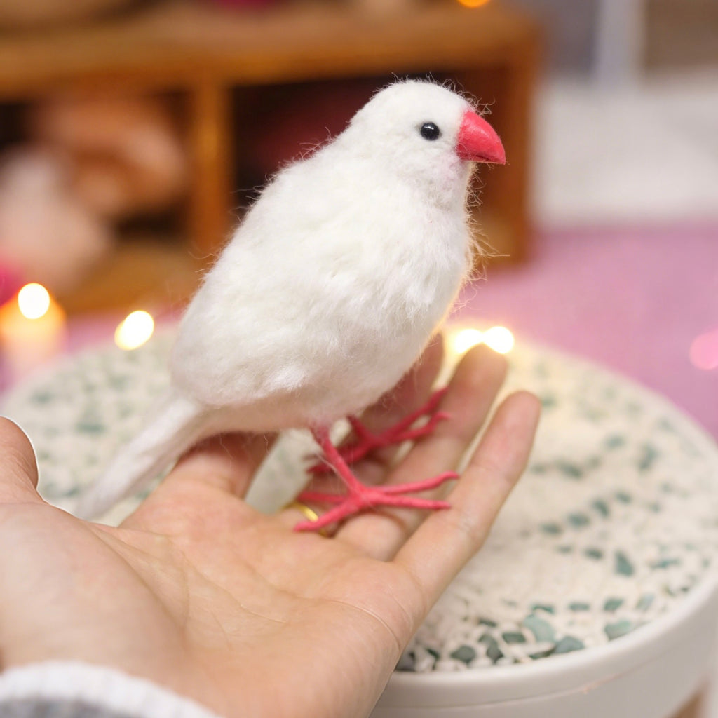 White bird with red feet perched on a hand against a blurred indoor background