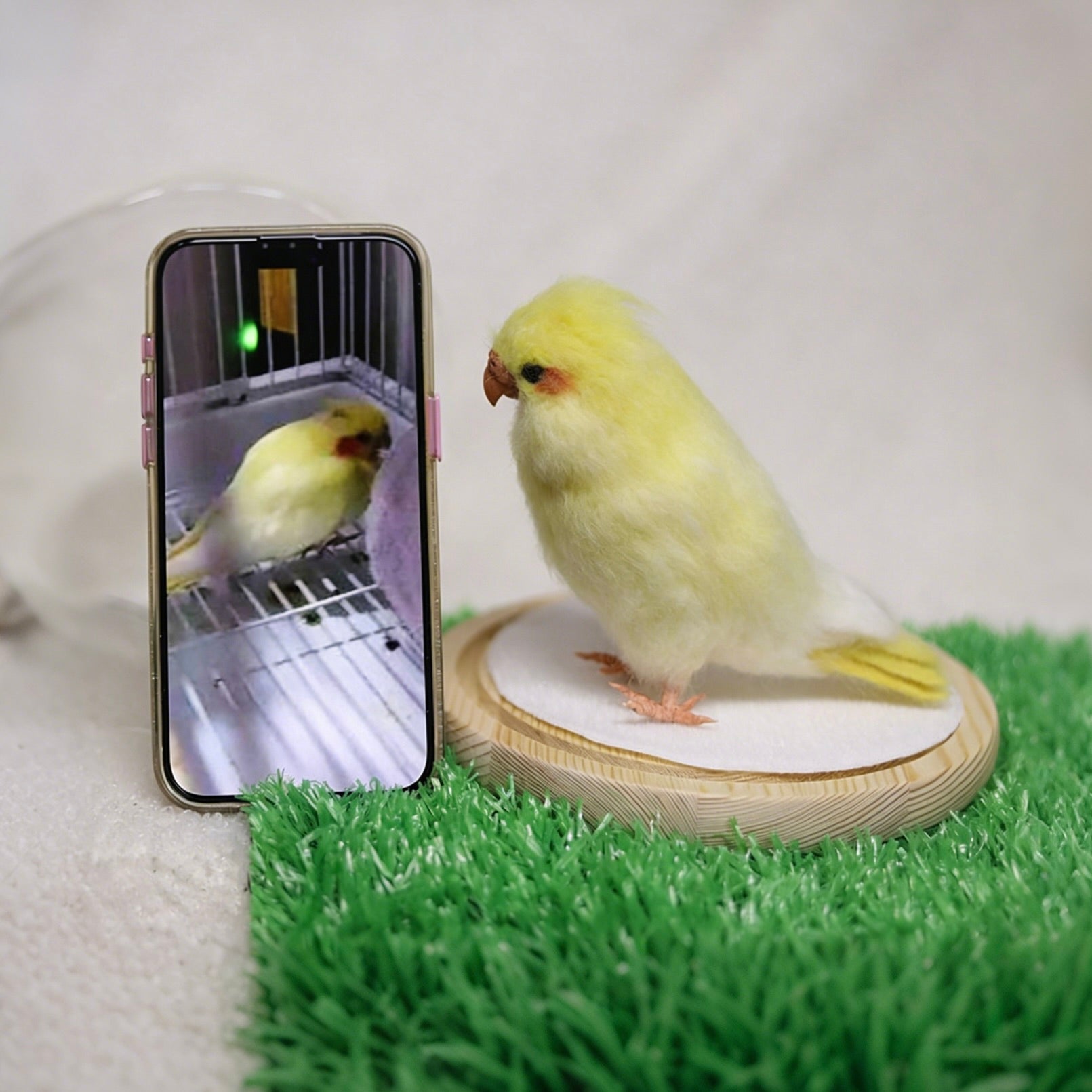 Yellow parakeet perched on a wooden stand next to a smartphone displaying an image of another parakeet.