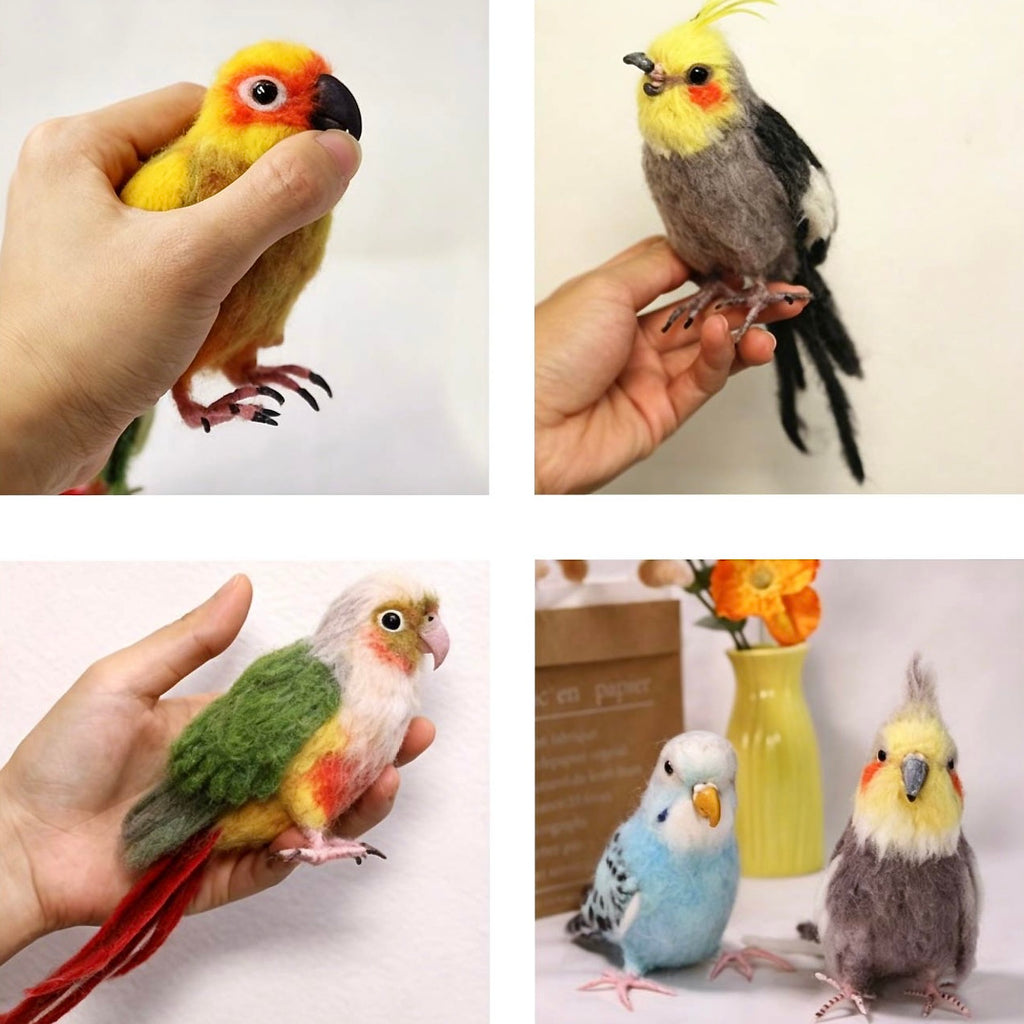 Collage of four images showing different birds held by a hand, with a focus on their colorful plumage.
