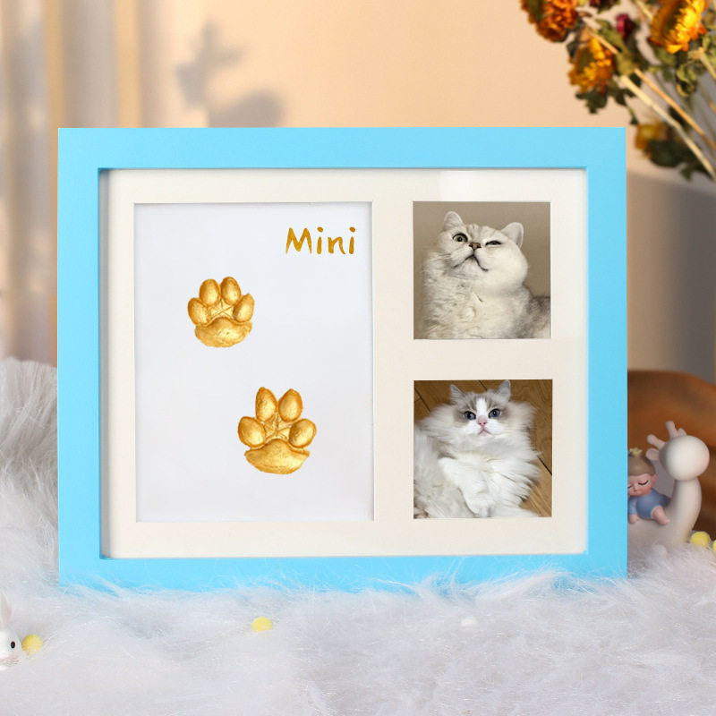 Framed pet prints and photos with a blue border on a soft surface.