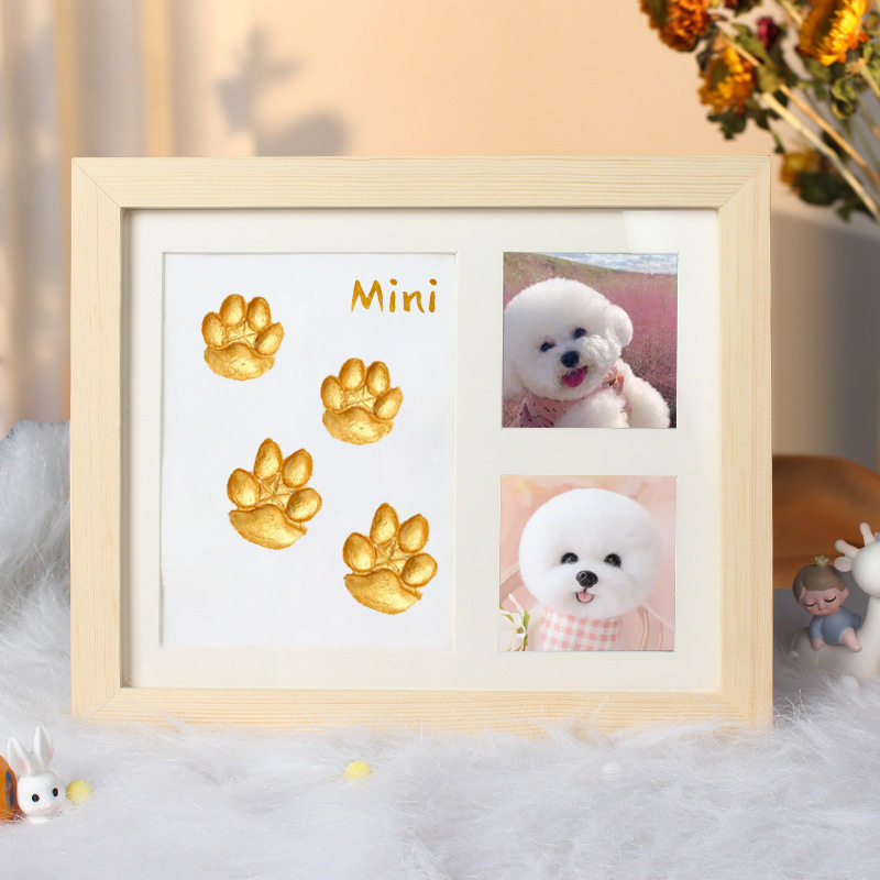 Framed artwork with paw prints and a photo of a small dog on a soft surface.