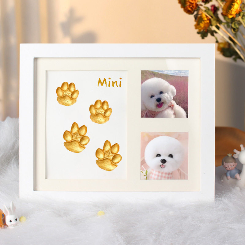 Framed pet prints with a photo of a small white dog on a soft surface.