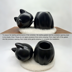 Black cat-shaped containers on a white background with text instructions.