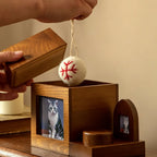 Wooden toy with a ball and compartments for photos, held by a hand.