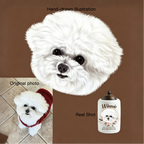 Comparison of a hand-drawn illustration, original photo, and real shot of a white dog with a bottle labeled 'Winnie'.