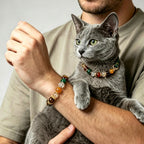 Cat wearing crystal collar with matching owner bracelet