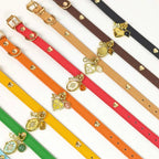 Colorful leather pet collars with custom photo locket charms